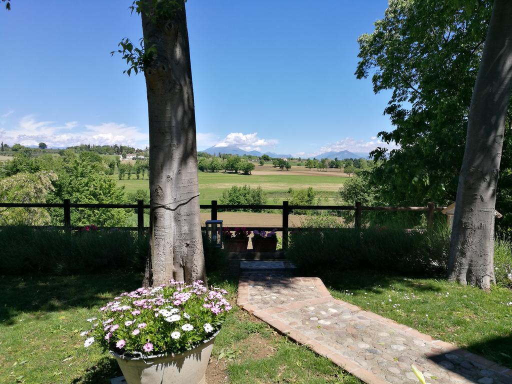 La Piana Bed & Breakfast Monzambano Exterior photo